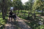 Горная «велодорога»