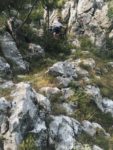 Горная дорога